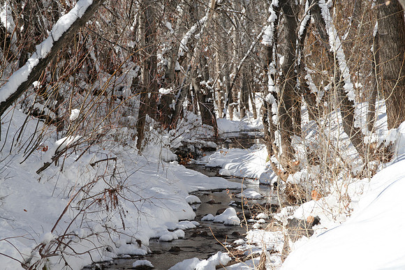 Snowy Stream