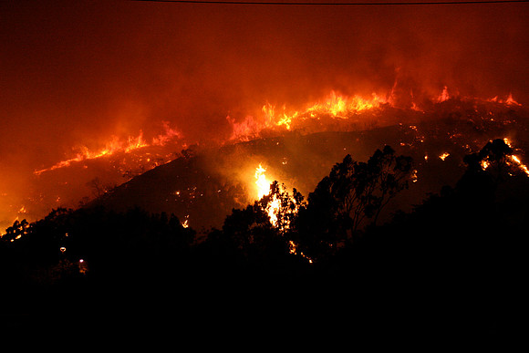 Griffith Park Fire